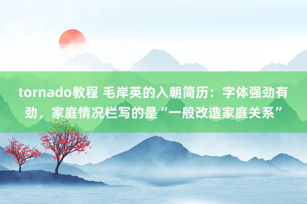 tornado教程 毛岸英的入朝简历：字体强劲有劲，家庭情况栏写的是“一般改造家庭关系”